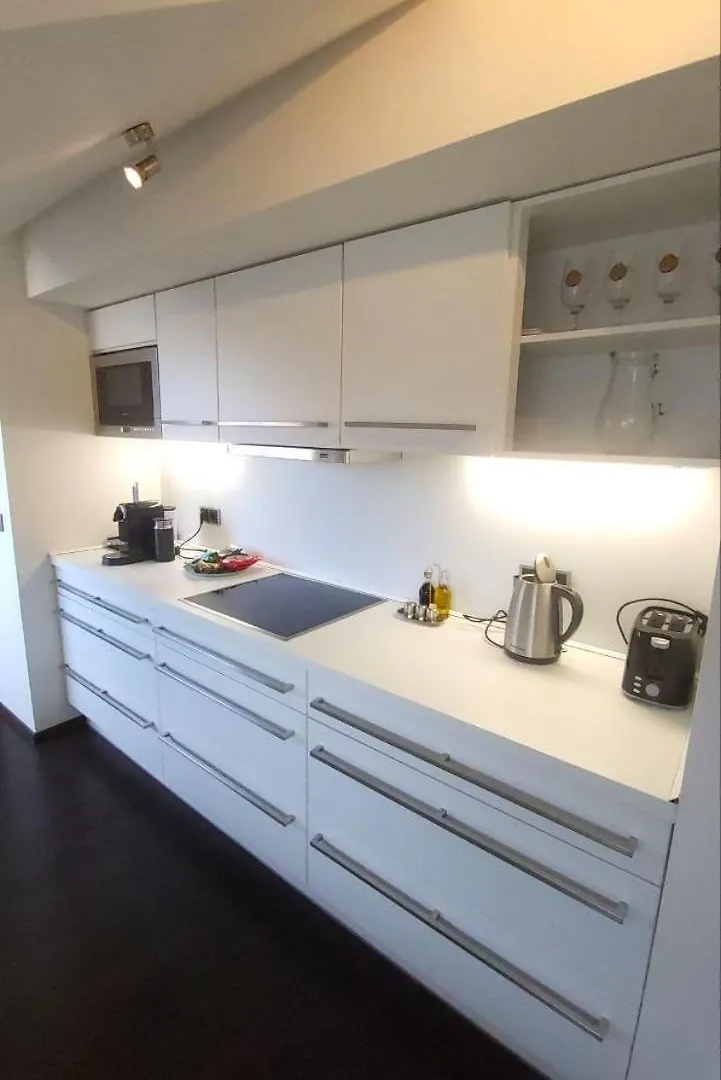Apartment Luxury Apt - Free Massages From Physiotherapists Prague